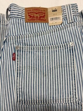 Levi's Cinch Baggy Striped Pants